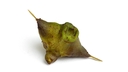 Web site image
