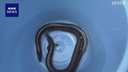 Web site image