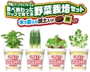 Web site image