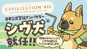 Web site image