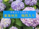 Web site image