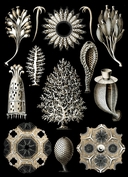 Web site image