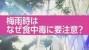 Web site image