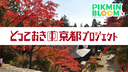 Web site image
