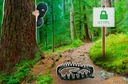 Web site image