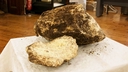 Web site image