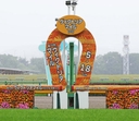 Web site image