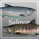 Web site image