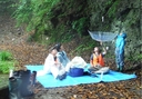 Web site image