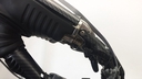 Web site image