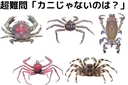 Web site image