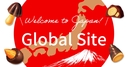 Web site image