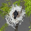 Web site image