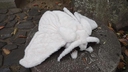 Web site image