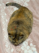 Web site image