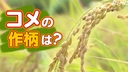 Web site image