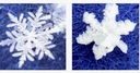 Web site image
