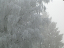 Web site image