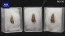 Web site image