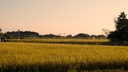 Web site image