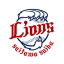 Web site image