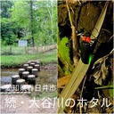 Web site image
