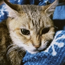 Web site image