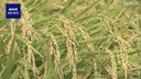 Web site image