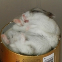 Web site image