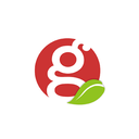 Web site image