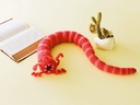 Web site image