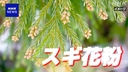 Web site image
