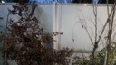 Web site image