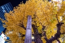 Web site image