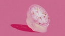 Web site image