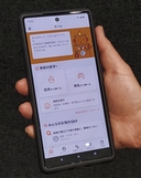 Web site image