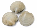 Web site image