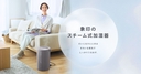 Web site image