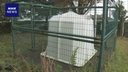 Web site image