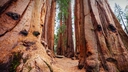 Web site image