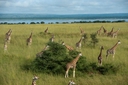 Web site image