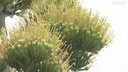 Web site image
