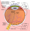 Web site image
