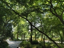 Web site image