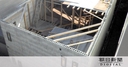 Web site image