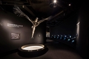 Web site image