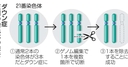 Web site image