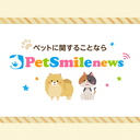 Web site image