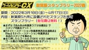 Web site image