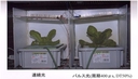 Web site image